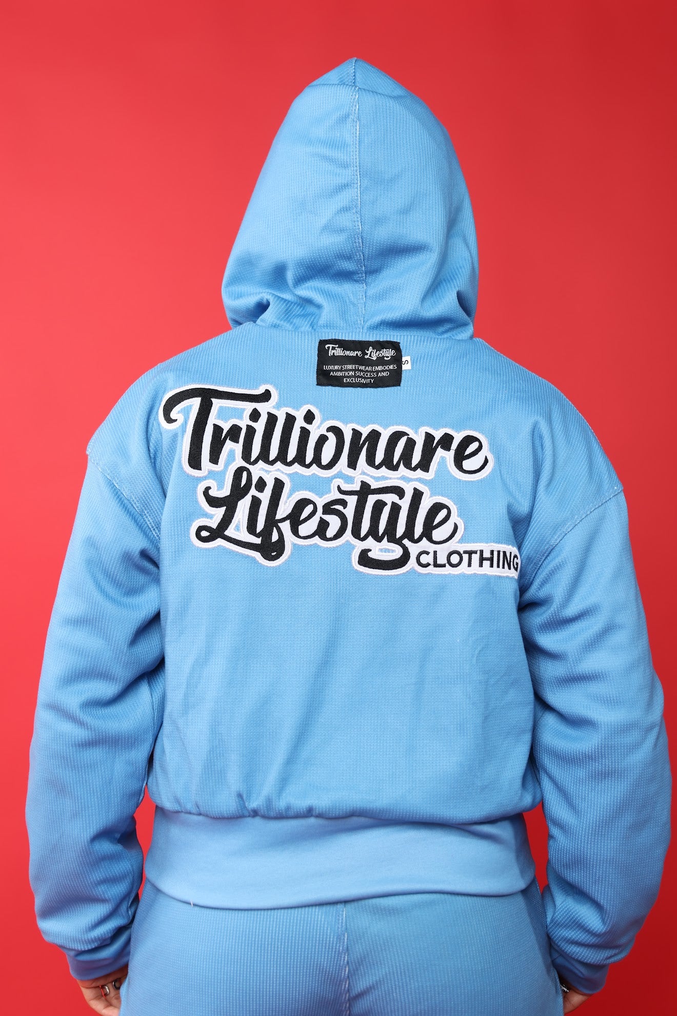 Gemini Hoodie 2.0